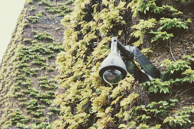 Vidéosurveillance : combien faut-il de caméras chez vous ?